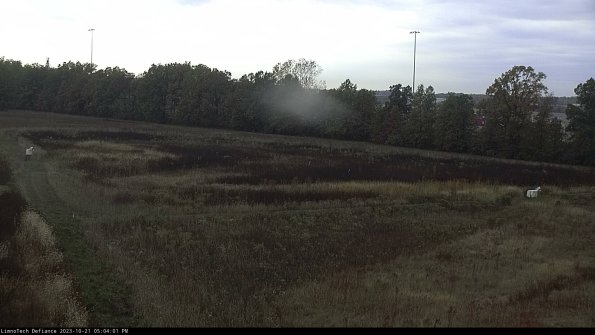 Cell 2_23-10-21_17-04-01-98