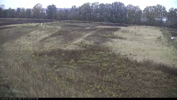 Cell 3_23-10-21_15-57-31-98