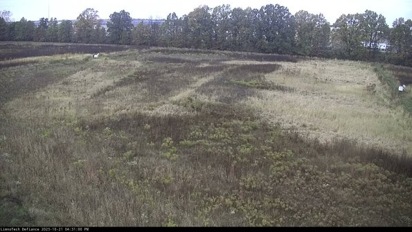 Cell 3_23-10-21_16-31-01-16