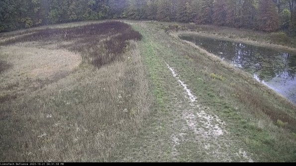 Cell 4 to Basin_23-10-21_16-31-58-99