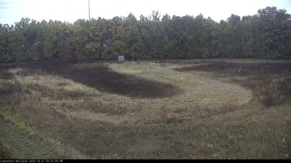 Cell 4_23-10-21_15-58-00-00