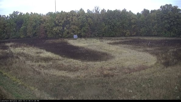 Cell 4_23-10-21_16-31-28-99