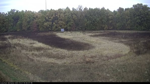 Cell 4_23-10-21_17-04-57-97