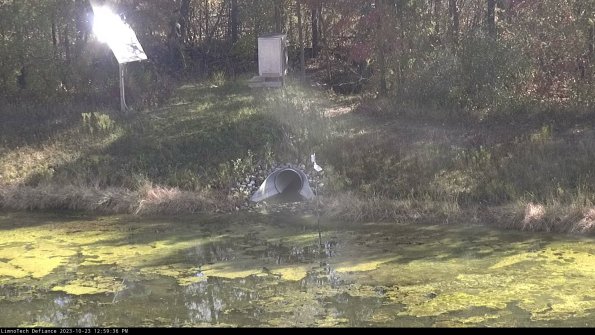 Basin Inflow_23-10-23_12-59-36-99