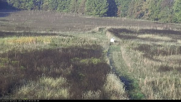 Cell 1 to 2_23-10-23_09-03-04-76