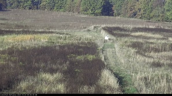 Cell 1 to 2_23-10-23_09-36-34-81