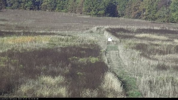 Cell 1 to 2_23-10-23_10-10-04-76