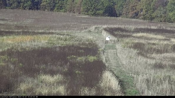 Cell 1 to 2_23-10-23_10-43-33-78