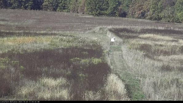 Cell 1 to 2_23-10-23_11-50-32-75