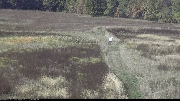 Cell 1 to 2_23-10-23_12-57-32-76