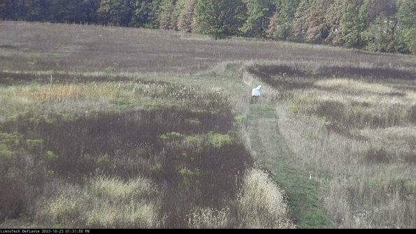 Cell 1 to 2_23-10-23_13-31-00-75