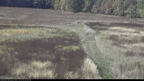 Cell 1 to 2_23-10-23_14-04-29-77