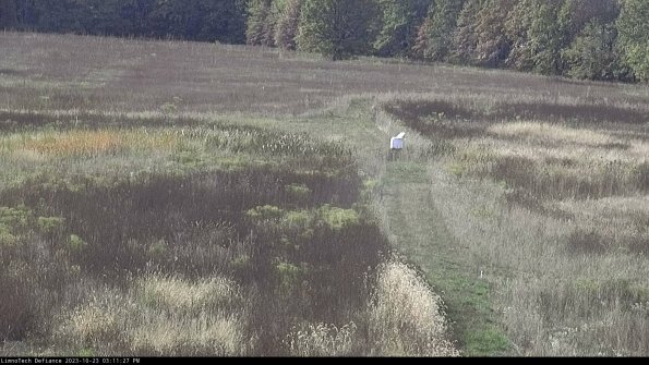 Cell 1 to 2_23-10-23_15-11-27-77