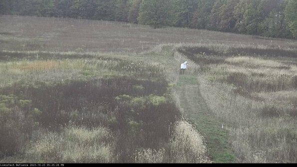 Cell 1 to 2_23-10-23_17-25-26-79