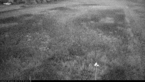 Cell 1_23-10-23_07-22-21-77