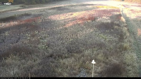 Cell 1_23-10-23_08-29-21-77