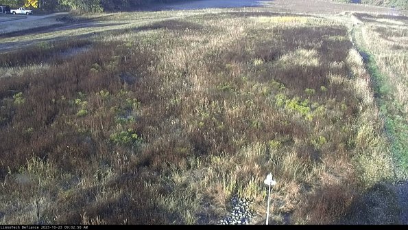 Cell 1_23-10-23_09-02-50-78