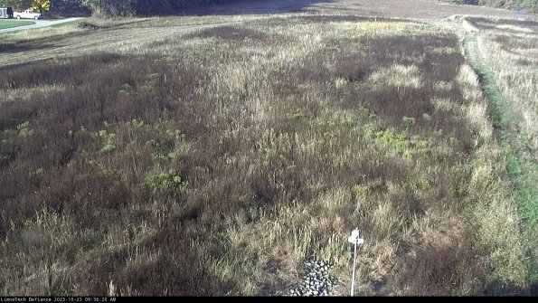 Cell 1_23-10-23_09-36-20-76