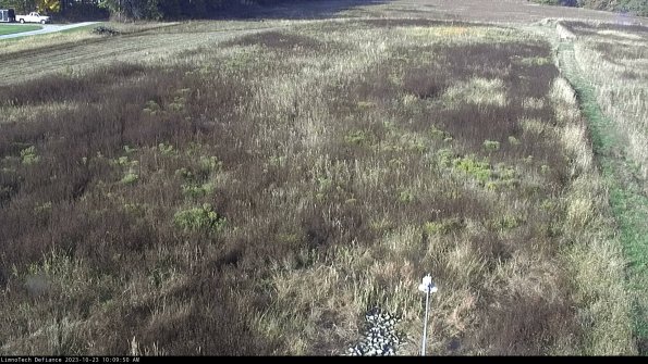 Cell 1_23-10-23_10-09-50-78