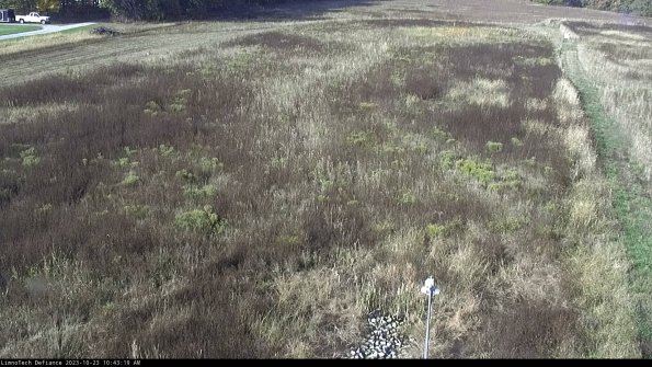 Cell 1_23-10-23_10-43-19-77