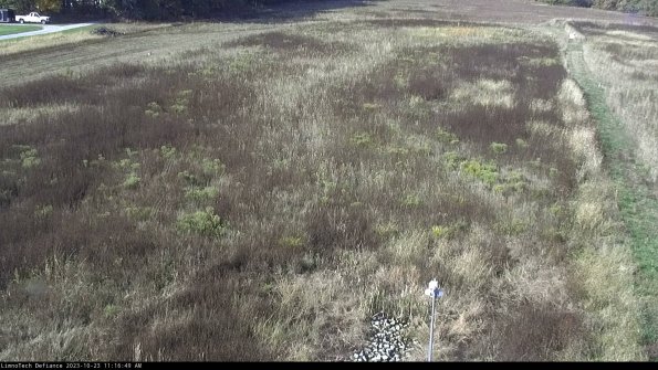 Cell 1_23-10-23_11-16-49-79