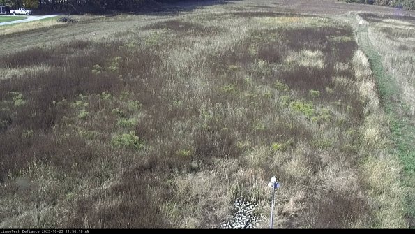 Cell 1_23-10-23_11-50-18-77