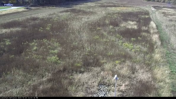 Cell 1_23-10-23_12-57-18-78