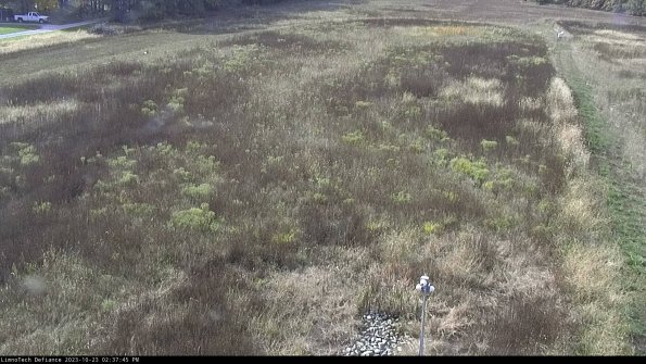 Cell 1_23-10-23_14-37-45-77