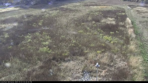 Cell 1_23-10-23_15-44-43-75