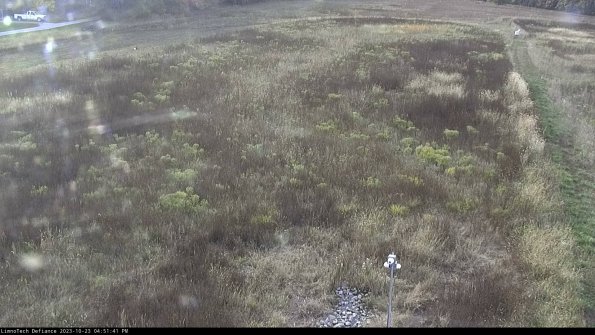 Cell 1_23-10-23_16-51-41-78