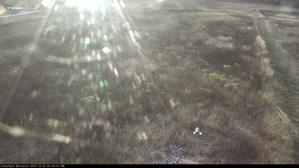 Cell 1_23-10-23_17-58-41-79