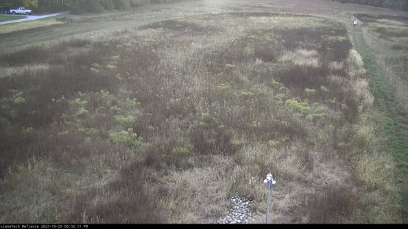 Cell 1_23-10-23_18-32-11-78