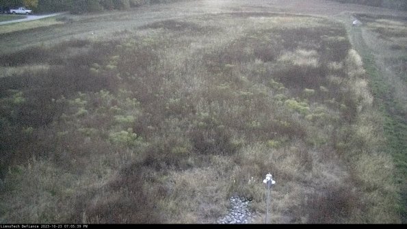 Cell 1_23-10-23_19-05-39-76