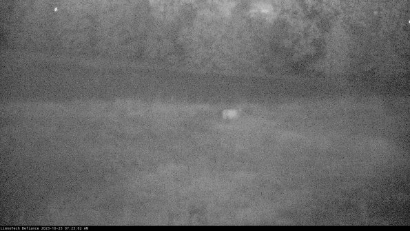 Cell 2 to 3_23-10-23_07-23-02-78