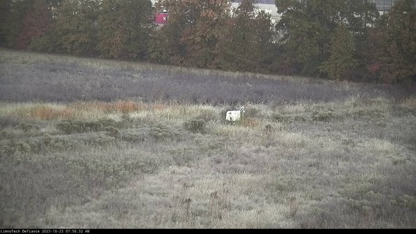 Cell 2 to 3_23-10-23_07-56-32-99