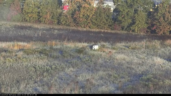 Cell 2 to 3_23-10-23_08-30-01-87