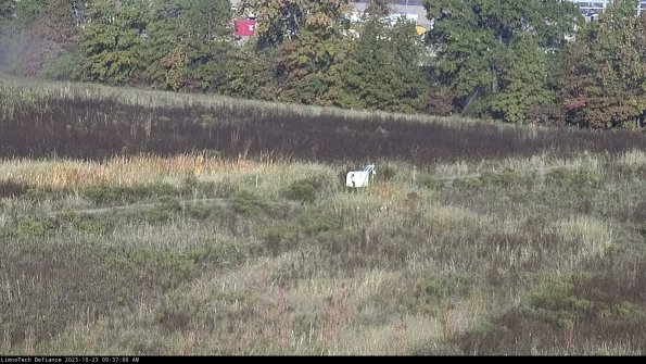 Cell 2 to 3_23-10-23_09-37-00-94