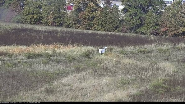 Cell 2 to 3_23-10-23_11-17-29-79