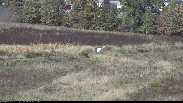 Cell 2 to 3_23-10-23_12-24-28-97