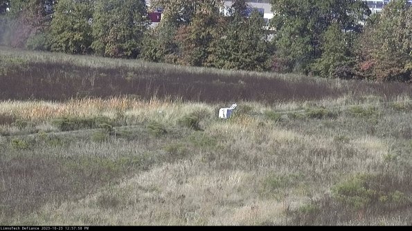 Cell 2 to 3_23-10-23_12-57-58-82