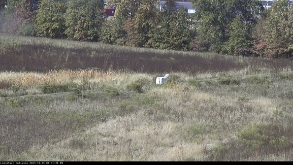 Cell 2 to 3_23-10-23_13-31-26-87