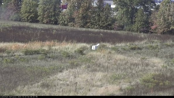 Cell 2 to 3_23-10-23_14-38-25-85