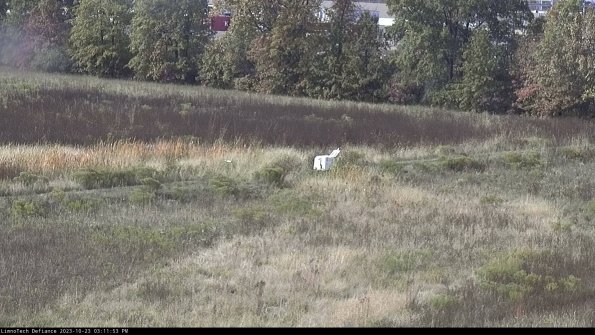 Cell 2 to 3_23-10-23_15-11-53-93