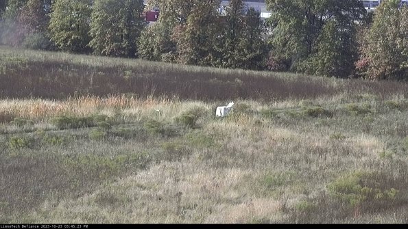 Cell 2 to 3_23-10-23_15-45-23-89