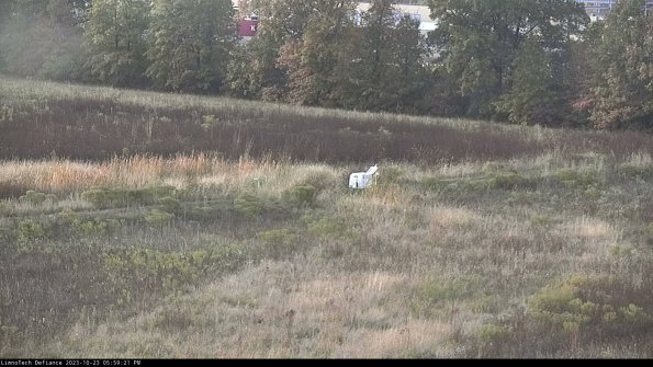 Cell 2 to 3_23-10-23_17-59-21-90