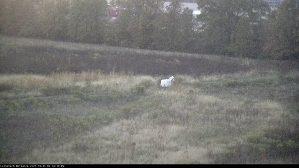 Cell 2 to 3_23-10-23_19-06-19-90