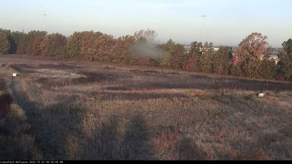 Cell 2_23-10-23_08-29-48-83