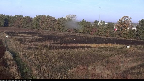 Cell 2_23-10-23_09-03-17-77