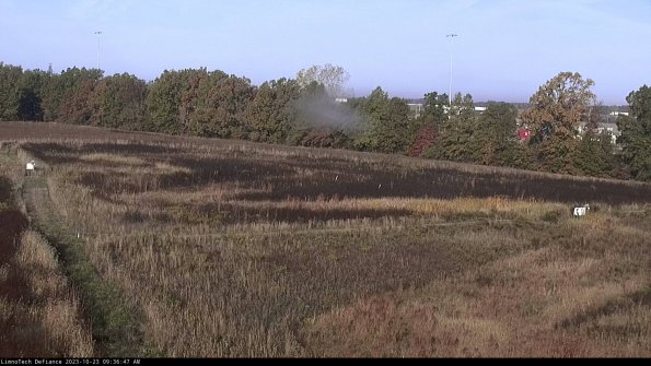 Cell 2_23-10-23_09-36-47-86