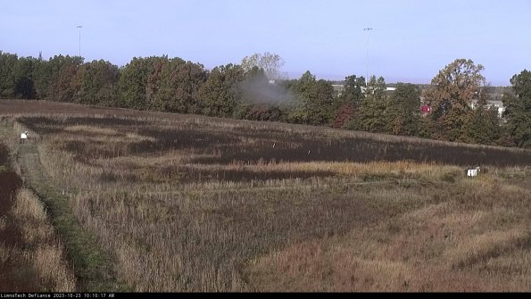 Cell 2_23-10-23_10-10-17-77